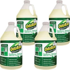 OdoBan Eucalyptus Multi-purp Cleaner Concentrate