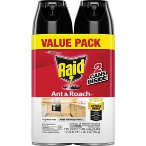 Raid Ant/Roach Killer Spray