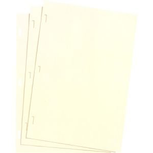 Wilson Jones Ivory Ledger Paper, 8 1/2" x 14", Plain, 100 Sheets/Box
